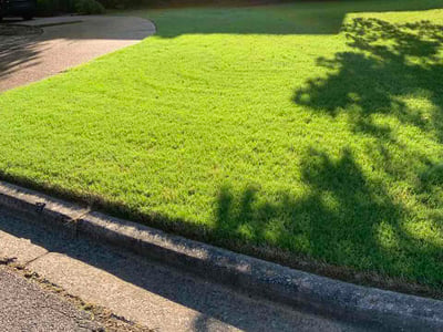 Lawn Care service in Hernando, 38632