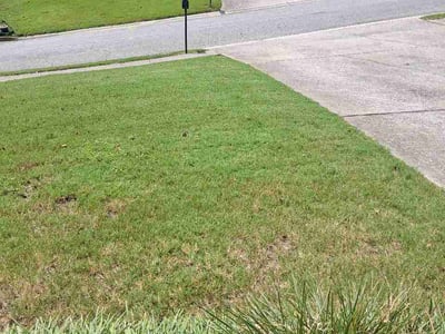 Lawn Care service in Mableton, 30126