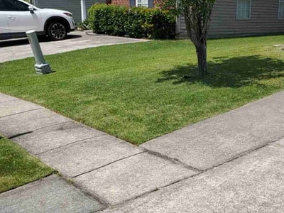 Lawn Care service in Clay, 35126