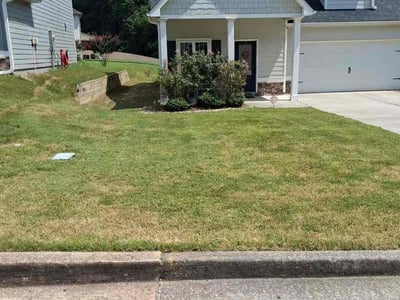 Lawn Care service in Bergenfield, 07621