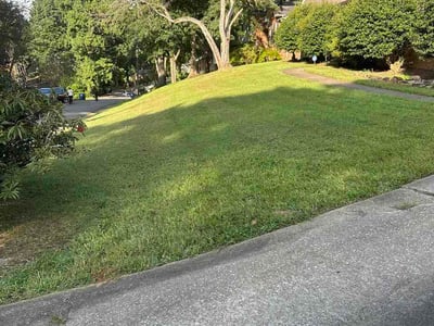 Lawn Care service in Gardendale, 35071