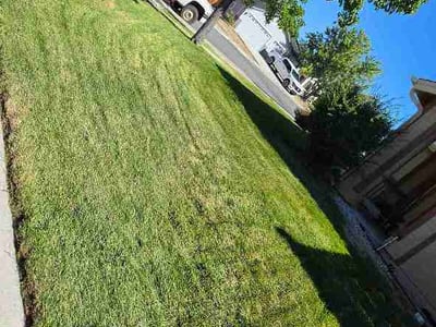 Lawn Care service in Reno, 89501