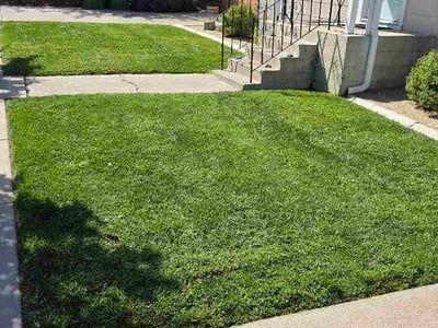 Lawn Care service in Reno, 89501