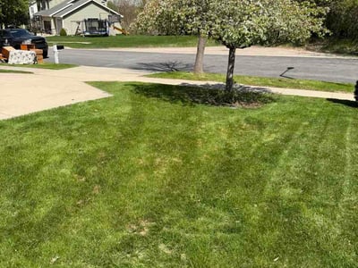 Lawn Care service in Oregon, 53575