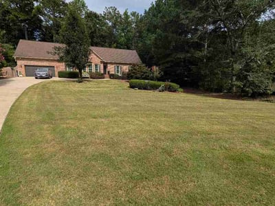 Lawn Care service in Chelsea, 35043