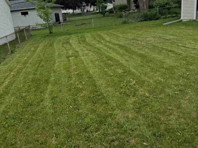 Lawn Care service in Oregon, 53575