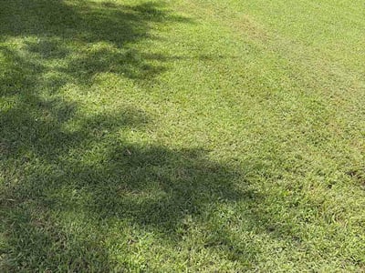 Lawn Care service in Forest Park, 30297