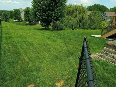 Lawn Care service in Savage, 55378