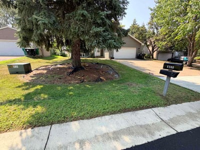Lawn Care service in Savage, 55378