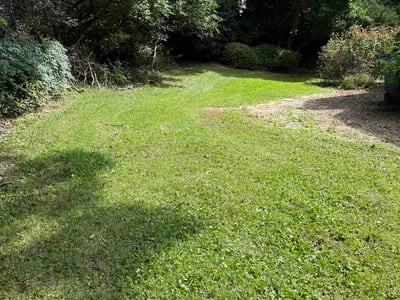 Lawn Care service in Lilburn, 30047