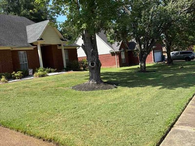 Lawn Care service in Southaven, 38671