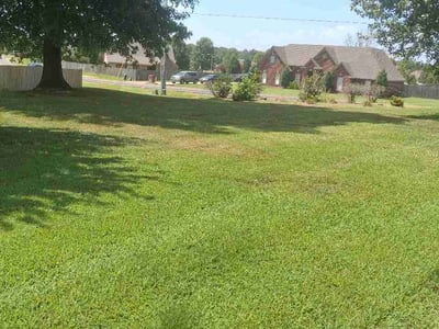 Lawn Care service in Southaven, 38671