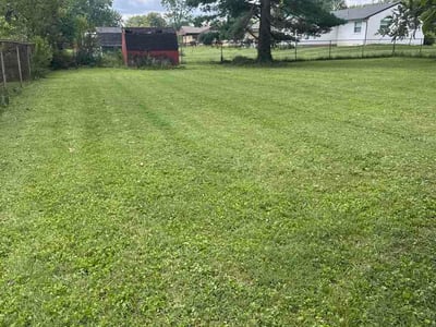 Lawn Care service in Collegeville, 19426