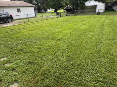 Lawn Care service in Granite City, 65401