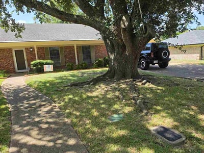 Lawn Care service in Tyler, 75702
