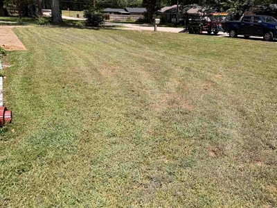 Lawn Care service in Tyler, 75702