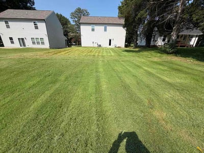 Lawn Care service in Thomasville, 27360