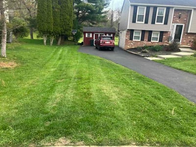 Lawn Care service in Downingtown, 19335
