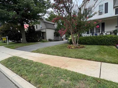 Lawn Care service in Hightstown, 08520