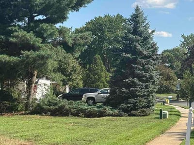 Lawn Care service in Hightstown, 08520