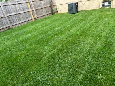 Lawn Care service in Sussex, 53089