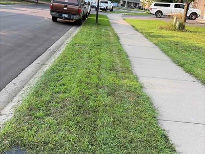 Lawn Care service in Monticello, 55362