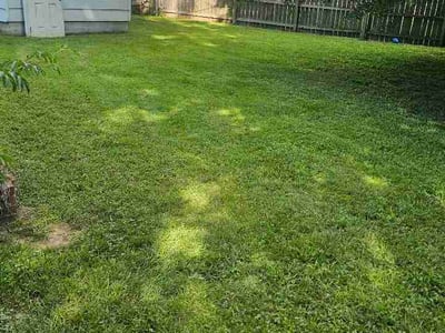 Lawn Care service in Marion, 72364
