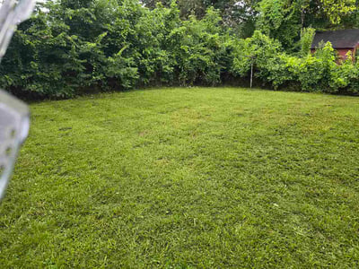 Lawn Care service in Marion, 72364