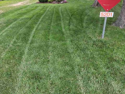 Lawn Care service in Sun Prairie, 53590
