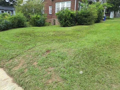 Lawn Care service in Fairfield, 35064