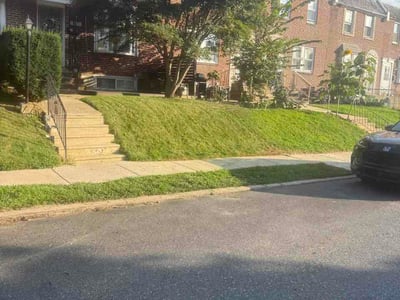 Lawn Care service in Drexel Hill, 19026