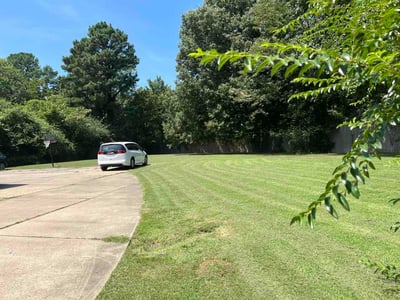 Lawn Care service in Covington, 38019