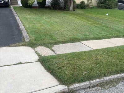 Lawn Care service in Norristown, 19401