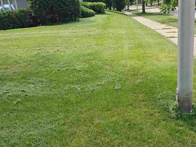 Lawn Care service in Menomonee Falls, 53051
