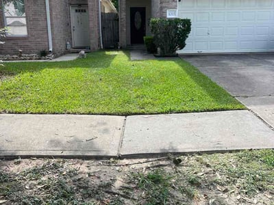 Lawn Care service in Donna, 78537