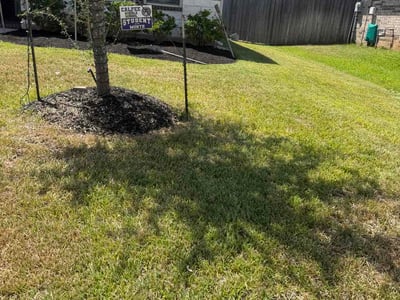 Lawn Care service in Magnolia, 77355