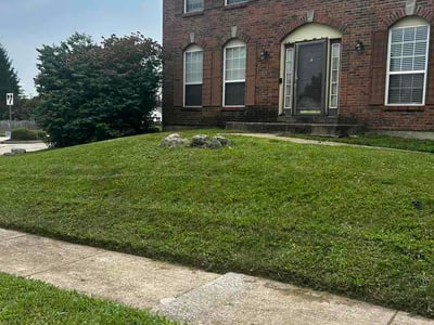 Lawn Care service in Saint Peters, 63376