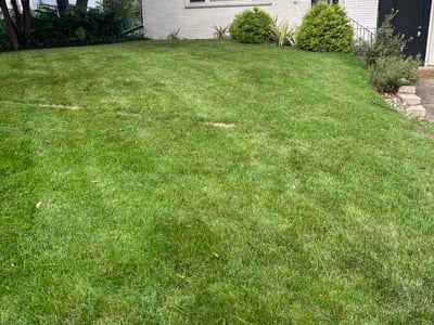 Lawn Care service in Middleton, 53562