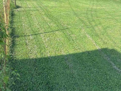 Lawn Care service in Wright City, 63390