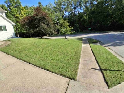 Lawn Care service in Lawson, 64062