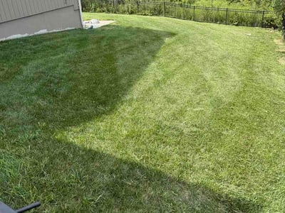 Lawn Care service in Lawson, 64062