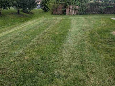 Lawn Care service in Corydon, 47112