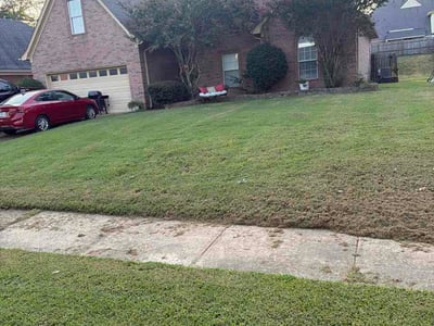 Lawn Care service in Olive Branch, 38654