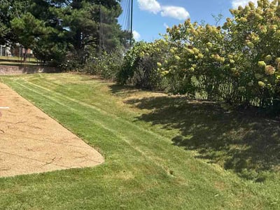 Lawn Care service in Olive Branch, 38654