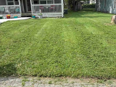 Lawn Care service in Waterloo, 64097