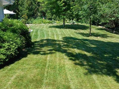 Lawn Care service in Cedarburg, 53012