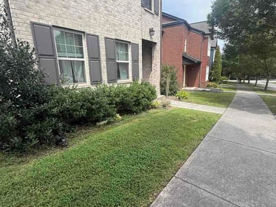 Lawn Care service in Oak Ridge, 37830