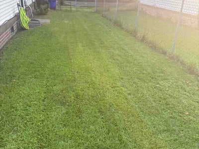 Lawn Care service in Hayes, 23072