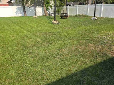 Lawn Care service in Ambler, 19002