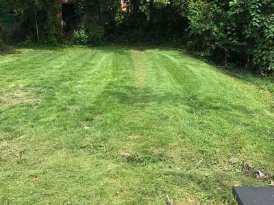 Lawn Care service in Jennings, 63136